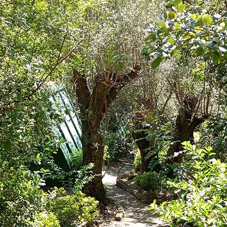 La Francesca Sud Un Villaggio"Glamping" Scario Exterior photo