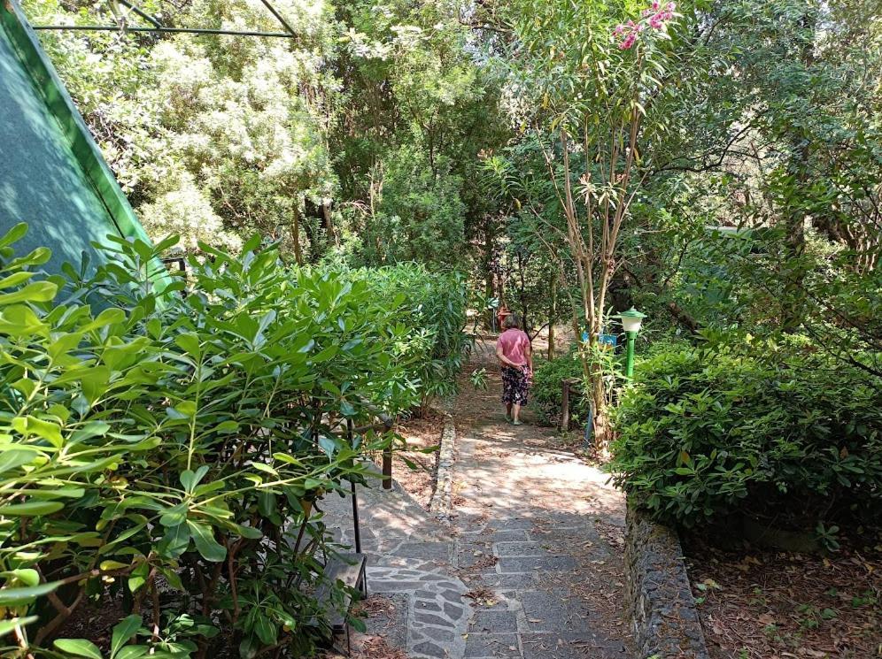 La Francesca Sud Un Villaggio"Glamping" Scario Exterior photo